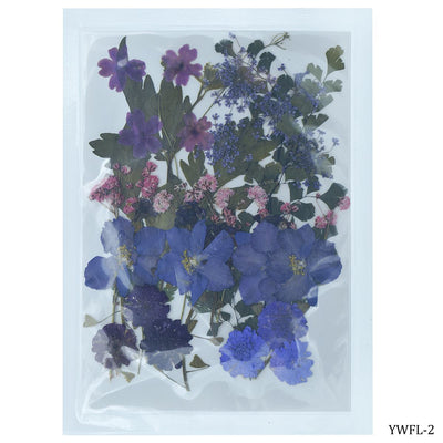 Natural Dried Flowers For Resin Art 40psc (YWFL-2) | Reliance Fine Art |Resin and Fluid ArtTexture mediums for Resin and Fluid Art