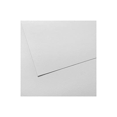 Canson C'a grain sketching Single sheet 224 GSM A0 (75X110) | Reliance Fine Art |Paper Pads for PaintingSketch Pads & Papers