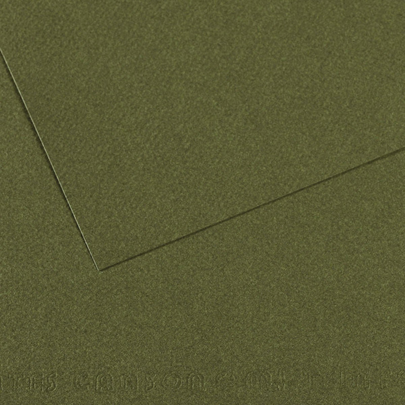 Canson Mi-Teintes Paper Ivy (448) - A4 (10 Sheets) | Reliance Fine Art |Canson Mi-Teintes A4 PacksSketch Pads & Papers