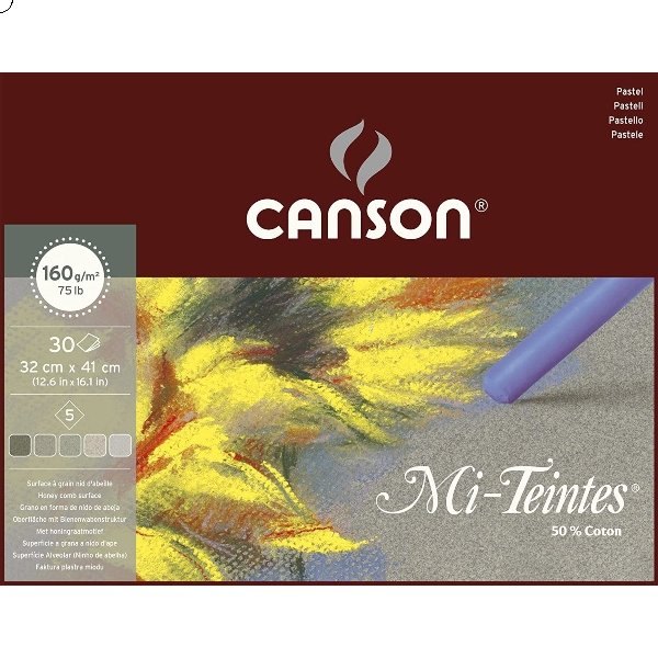 Canson Mi-Teintes Pastel Pad Grey Tones 5 Shades - 30sheets (32cmx41cm) A3+ | Reliance Fine Art |Art PadsPastelsSketch Pads & Papers