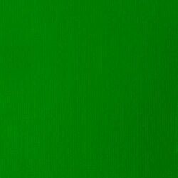 Liquitex Basics Acrylic 400ml Jar Light Green Permanent (312) | Reliance Fine Art |Acrylic PaintsLiquitex Basics Acrylic Paint 946 ML