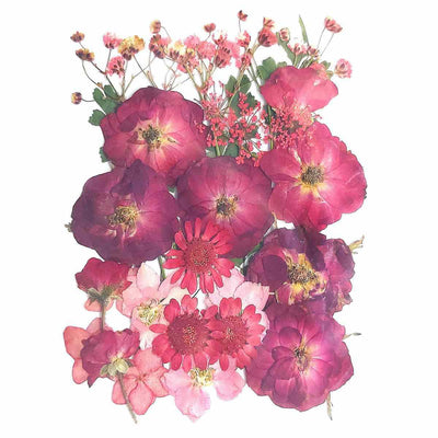Natural Dried Flowers For Resin Art (30 Pcs) (YW-23) | Reliance Fine Art |Resin and Fluid ArtTexture mediums for Resin and Fluid Art