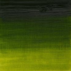 Winsor & Newton Artist Oil Color 37ml S2 Sap Green | Reliance Fine Art |Oil PaintsWinsor & Newton Artist Oil Colours