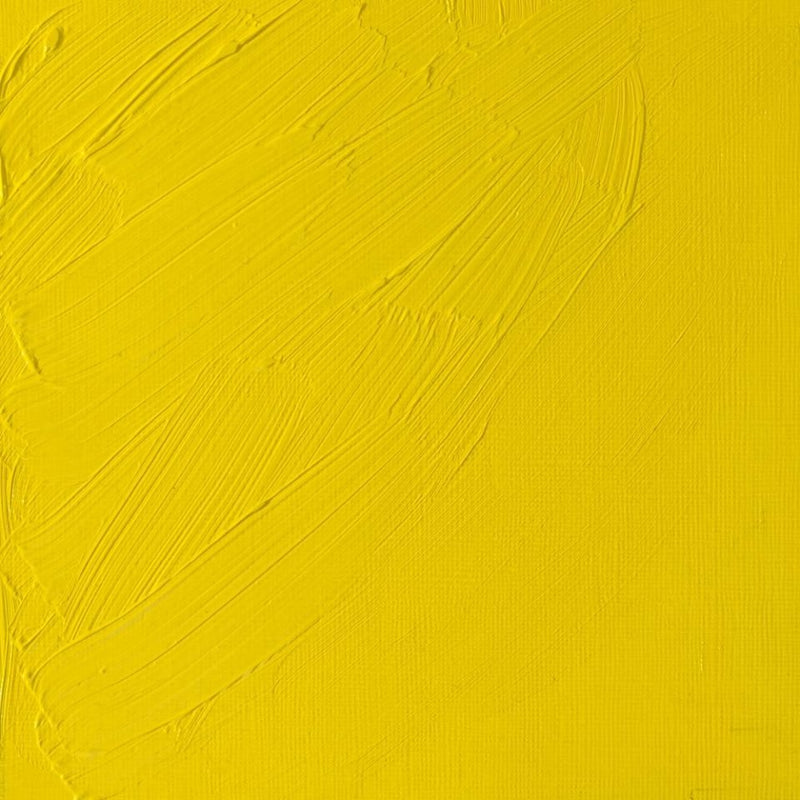 Winsor & Newton Artist Oil Color 37ml S4 Cadmium Lemon | Reliance Fine Art |Oil PaintsWinsor & Newton Artist Oil Colours