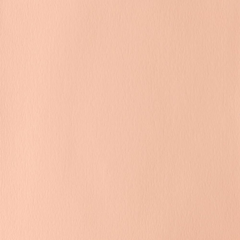 Winsor Newton Designer Gouache Flesh Tint 14 ML S1 | Reliance Fine Art |Gouache PaintsWinsor & Newton Designer Gouache