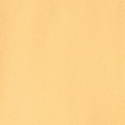 Winsor Newton Designer Gouache Naples Yellow Hue 14 ML S1 | Reliance Fine Art |Gouache PaintsWinsor & Newton Designer Gouache