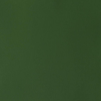 Winsor Newton Designer Gouache Oxide of Chromium 14 ML S2 | Reliance Fine Art |Gouache PaintsWinsor & Newton Designer Gouache