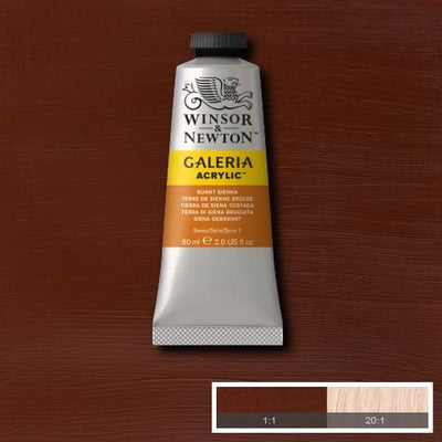 Winsor & Newton Galeria Acrylic 60ML Burnt Sienna | Reliance Fine Art |Acrylic PaintsWinsor Newton Galeria Acrylic Paint