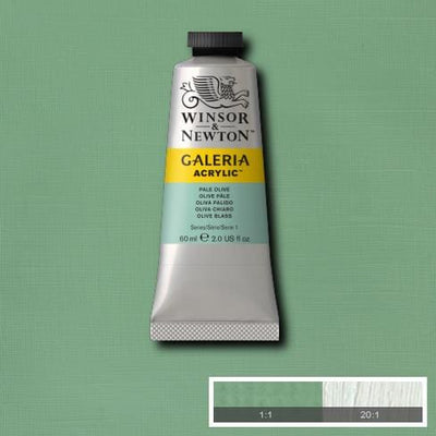 Winsor & Newton Galeria Acrylic 60ML Pale Olive | Reliance Fine Art |Acrylic PaintsWinsor Newton Galeria Acrylic Paint